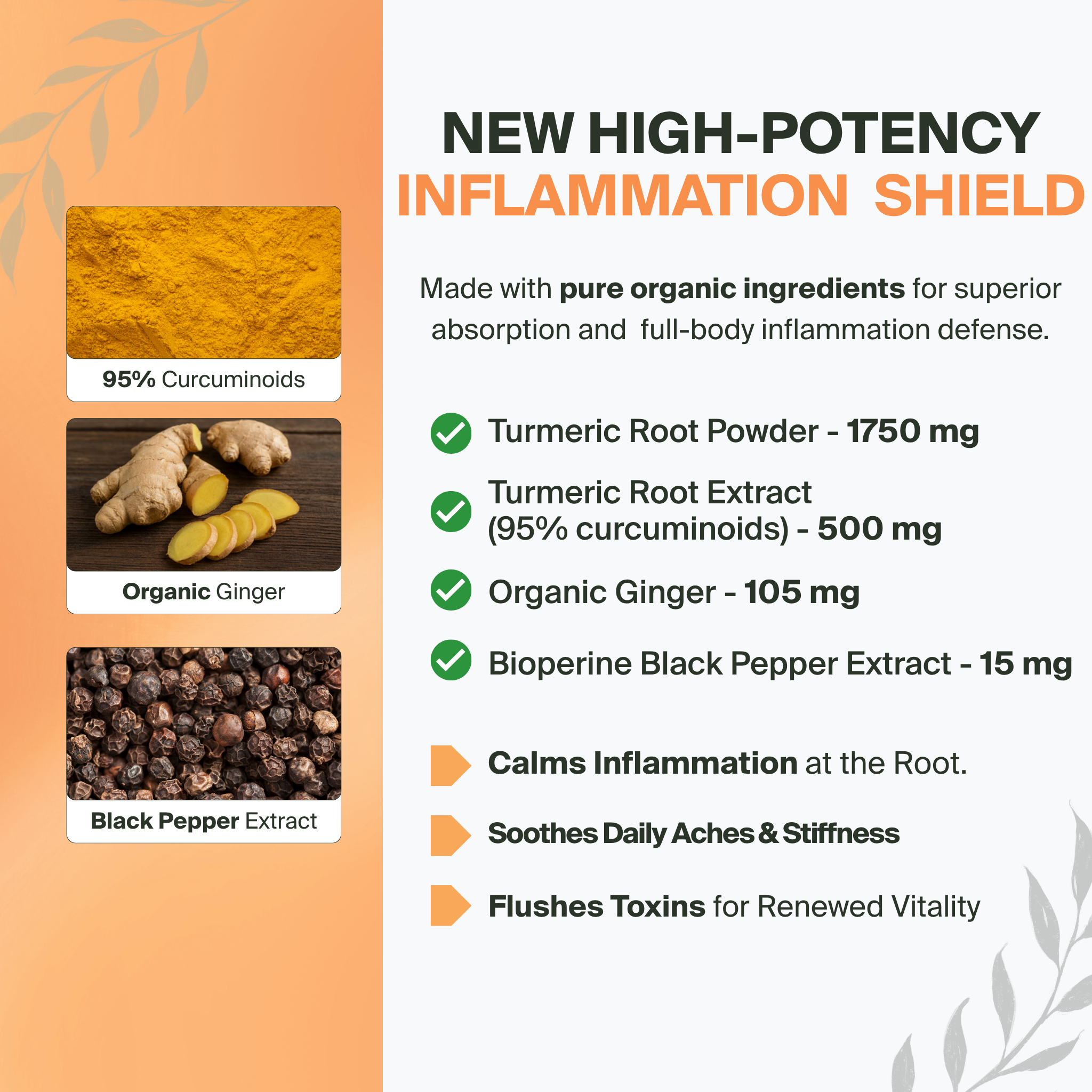 Sanlava Organic Turmeric™ 2250mg | Cold-Purified Anti-Inflammatory Complex
